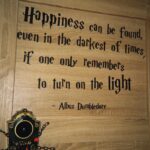 Wooden door with a printed Albus Dumbledore quote and a decorative shield-shaped doorbell.